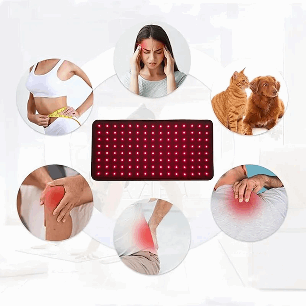 Red Light Therapy Belt